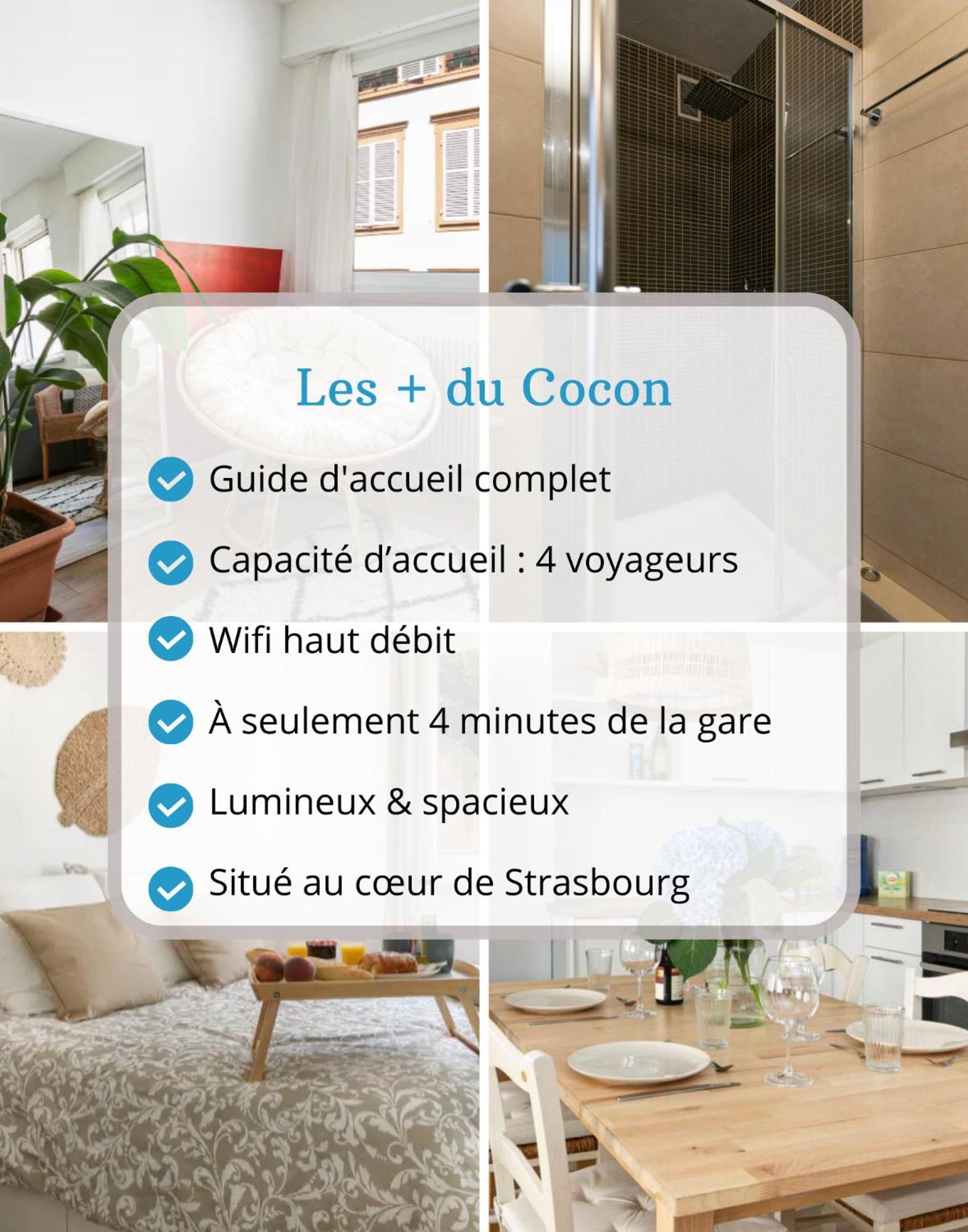 Le Cocon - Proche Gare - Lumineux & Centre Ville - Commerces A Proximite 斯特拉斯堡 外观 照片